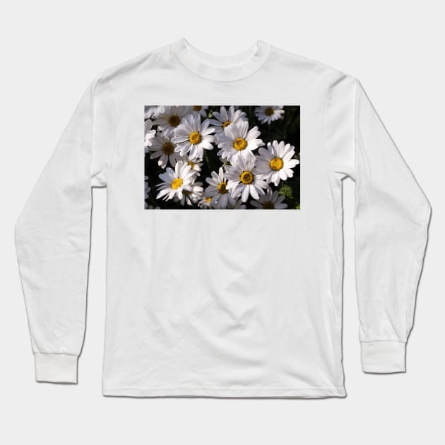 Large White Daisies Long Sleeve T-Shirt by pinkal